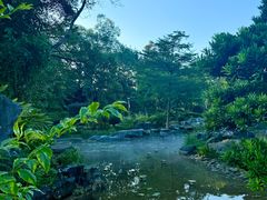 -东莞植物园