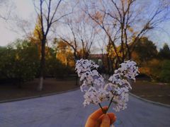 -晋祠宾馆