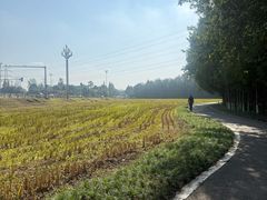 -桤木河湿地公园