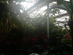 -呀路古热带植物园
