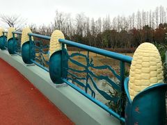 -上海长兴岛郊野公园