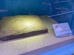 -陕西自然博物馆