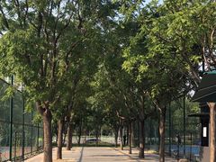 -回龙观体育文化公园