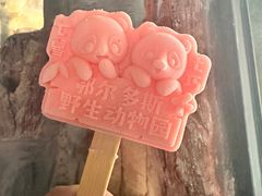 -鄂尔多斯野生动物园