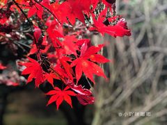 -穹窿山景区