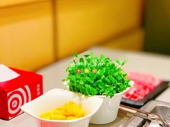 豌豆苗-海底捞火锅(河东万达广场店)
