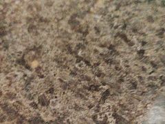 -大堂酒廊·亚龙湾万豪度假酒店