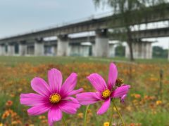 -永定河休闲森林公园