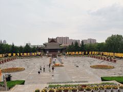 -大槐树寻根祭祖园
