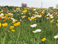 -歌斐颂巧克力小镇