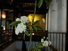 -老门东历史文化街区