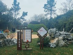 -菊花台公园
