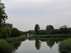 -大兴滨河森林公园