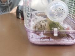 -博特宠物医院24h犬猫全科.骨科·异宠