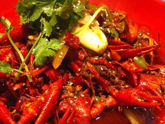 -红辣椒·川菜·火锅(张杨路店)