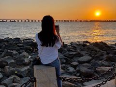 -宝安西湾红树林湿地公园