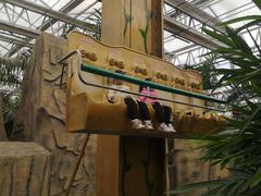 -南宫五洲植物乐园