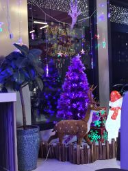 店里的圣诞树-木北造型