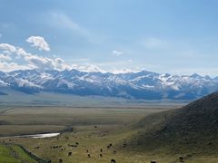 -新疆那拉提国家旅游度假区