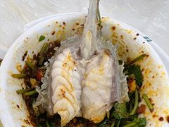 鱼翅-源港渔村-中山脆肉鲩(博罗店)