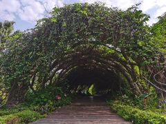 -广西壮族自治区药用植物园