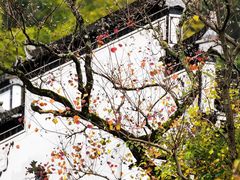 -塔川景区