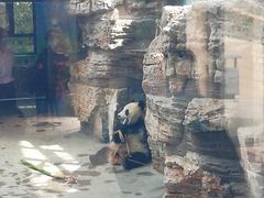 -石家庄市动物园