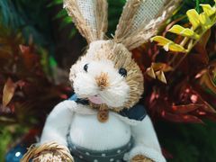 -Sony Store索尼(广州正佳店)