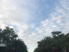 -马銮湾景区