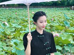 -迎泽公园
