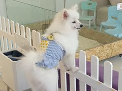 -怪兽屋·羊驼·猫咖·狗咖(俊华广场店)