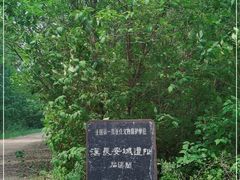 -汉长安城未央宫国家考古遗址公园