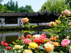-郭庄景区