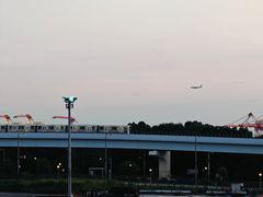 -台场海滨公园船码头