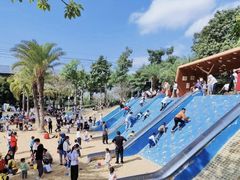 -宝安西湾红树林湿地公园