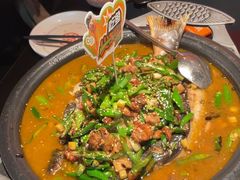 -探鱼·鲜青椒爽麻烤鱼(广州花都来又来店)