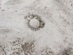 -青岛银沙滩