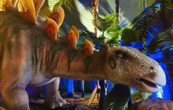 -恐龙探索乐园(磁器口店)