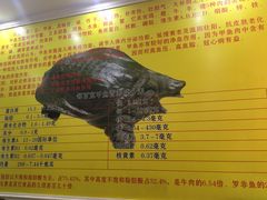 -大圣甲(汉口店)
