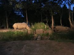 -清迈夜间动物园