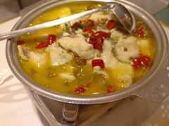 -刘胖子家常菜·蹄花焖藕(中南店)