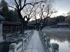 -颐和园