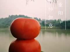 -黄龙溪古镇