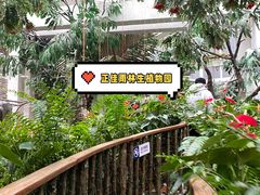 -正佳雨林生态植物园