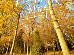 -森林公园(尖草坪区)