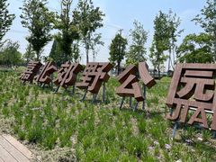 -嘉北郊野公园