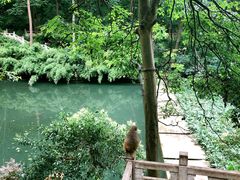 -黔灵山公园