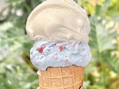 -CREAM STORY意大利手工冰淇淋&甜品(万象前海店)
