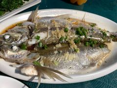 清蒸白水鱼-长廊好灶头 本地人农家菜(枫泾古镇店)