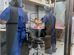 -宠福鑫康馨动物医院·骨科·眼科